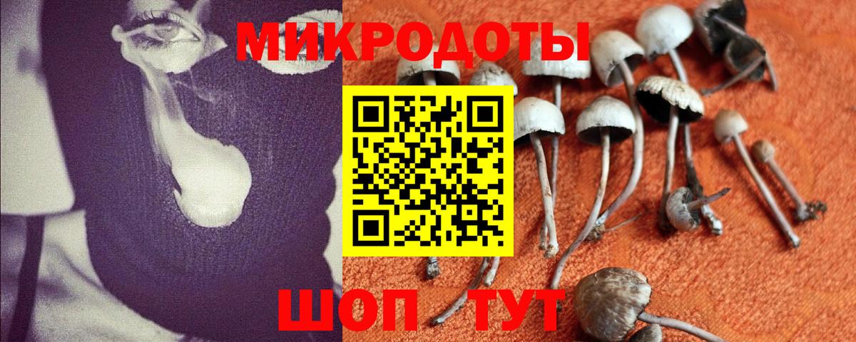 Михайловск  Псилоцибиновые грибы прущие грибы  Вход с VPN 